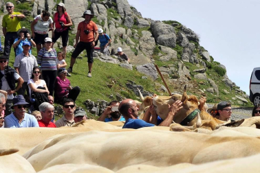 Ceremonia del tributo de las tres vacas