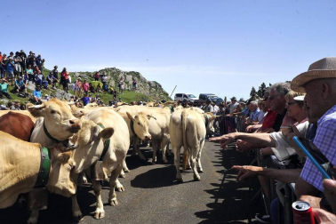 Ceremonia del tributo de las tres vacas