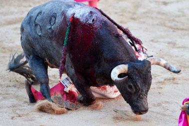 Imágenes de la corrida en la plaza de toros de Pamplona con reses de la ganadería de Miura para los diestros Rafaelillo, Octavio Chacón y Juan Leal.