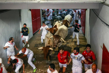 El octavo encierro de los Miura dejó, aparte de los tres corneados, estampas curiosas. Como la vivida en el Callejón de entrada a la Plaza de Toros, donde dos mozos poco experimentados coincidieron en el lado derecho y se pararon para ver pasar la 'miurada'. Amistad de callejón un tanto peligrosa.