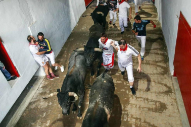 El octavo encierro de los Miura dejó, aparte de los tres corneados, estampas curiosas. Como la vivida en el Callejón de entrada a la Plaza de Toros, donde dos mozos poco experimentados coincidieron en el lado derecho y se pararon para ver pasar la 'miurada'. Amistad de callejón un tanto peligrosa.