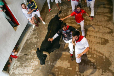 El octavo encierro de los Miura dejó, aparte de los tres corneados, estampas curiosas. Como la vivida en el Callejón de entrada a la Plaza de Toros, donde dos mozos poco experimentados coincidieron en el lado derecho y se pararon para ver pasar la 'miurada'. Amistad de callejón un tanto peligrosa.