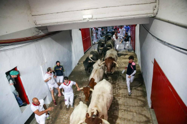 El octavo encierro de los Miura dejó, aparte de los tres corneados, estampas curiosas. Como la vivida en el Callejón de entrada a la Plaza de Toros, donde dos mozos poco experimentados coincidieron en el lado derecho y se pararon para ver pasar la 'miurada'. Amistad de callejón un tanto peligrosa.