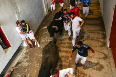 El octavo encierro de los Miura dejó, aparte de los tres corneados, estampas curiosas. Como la vivida en el Callejón de entrada a la Plaza de Toros, donde dos mozos poco experimentados coincidieron en el lado derecho y se pararon para ver pasar la 'miurada'. Amistad de callejón un tanto peligrosa.
