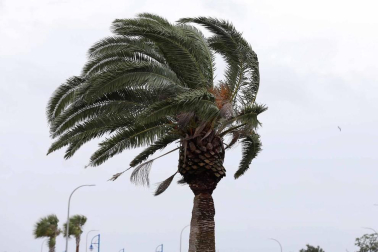 Aunque reducida de huracán a tormenta tropical, las autoridades alertan de extremar las precauciones por el riesgo de inundaciones.