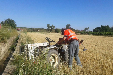 Un vecino de Cascante ha fallecido este lunes 15 de julio tras sufrir un accidente y volcar el vehículo que conducía en un camino de la localidad de Tulebras.