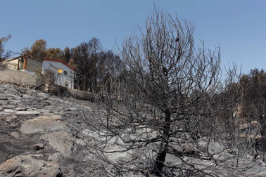 El incendio declarado en el término municipal alicantino de Beneixama ha quedado estabilizado tras quemar entre 850 y 900 hectáreas.