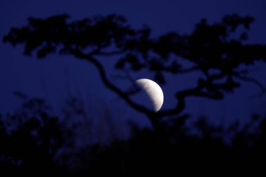 El fenómeno se pudo observar desde varios puntos del planeta y dejó estampas espectaculares.
