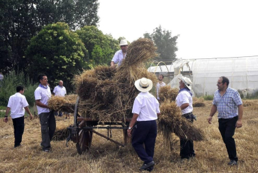 Actos, puestos y tradiciones en Miranda de Arga con motivo de la celebración del Día del Mundo Rural 2019 celebrado este domingo 21 de julio.