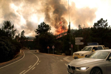Las llamas superaron un perímetro de 50 kilómetros y unos 800 efectivos participaron en las labores de extinción del fuego.