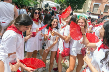 Este miércoles 24 de julio comenzaron las fiestas de Santa Ana en Tudela con el tradicional lanzamiento del cohete.
