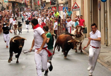 Todas las fotos del tercer día de fiestas de San Adrián 2019