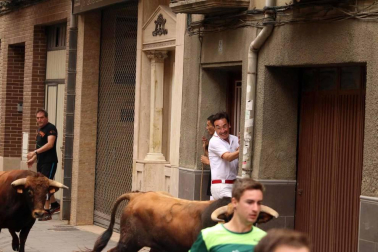 Todas las fotos del tercer día de fiestas de San Adrián 2019