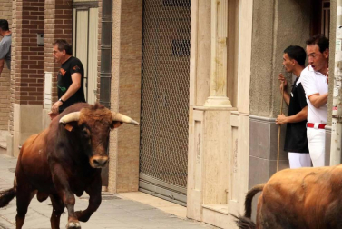 Todas las fotos del tercer día de fiestas de San Adrián 2019
