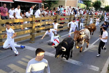 Todas las fotos del encierro del día 25 de fiestas de Tudela 2019