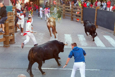 Todas las fotos del cuarto encierro de fiestas de Tudela 2019