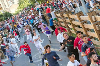 Todas las fotos del cuarto encierro de fiestas de Tudela 2019