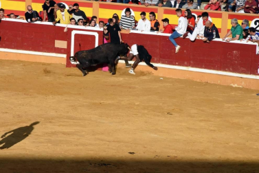 Todas las fotos del cuarto encierro de fiestas de Tudela 2019