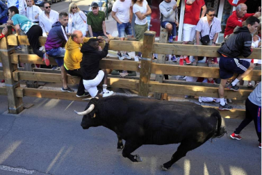 Todas las fotos del cuarto encierro de fiestas de Tudela 2019