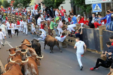 Todas las fotos del cuarto encierro de fiestas de Tudela 2019