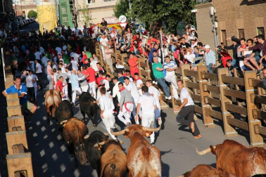 Todas las fotos del cuarto encierro de fiestas de Tudela 2019