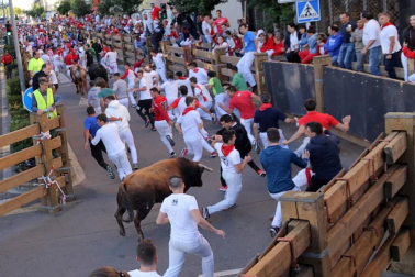Todas las fotos del cuarto encierro de fiestas de Tudela 2019