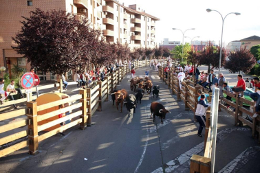 Todas las fotos del cuarto encierro de fiestas de Tudela 2019
