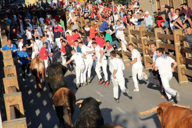 Todas las fotos del cuarto encierro de fiestas de Tudela 2019