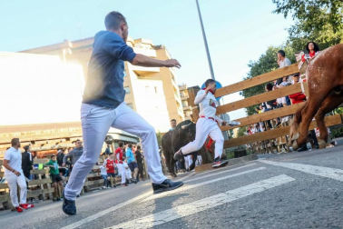 Todas las fotos del cuarto encierro de fiestas de Tudela 2019