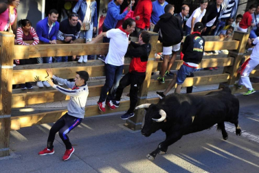 Todas las fotos del cuarto encierro de fiestas de Tudela 2019
