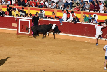 Todas las fotos del cuarto encierro de fiestas de Tudela 2019
