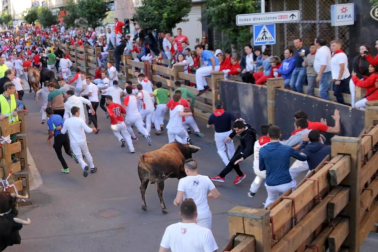 Todas las fotos del cuarto encierro de fiestas de Tudela 2019