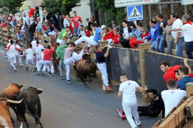 Todas las fotos del cuarto encierro de fiestas de Tudela 2019
