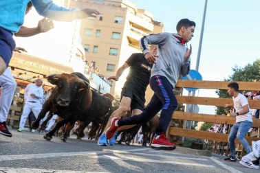 Todas las fotos del cuarto encierro de fiestas de Tudela 2019