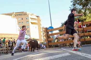 Todas las fotos del cuarto encierro de fiestas de Tudela 2019