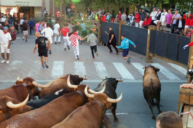 Todas las fotos del cuarto encierro de fiestas de Tudela 2019