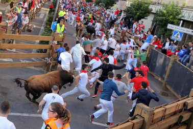 Todas las fotos del cuarto encierro de fiestas de Tudela 2019