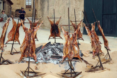 Larraga celebró el pasado fin de semana una nueva edición del Día de la Vaca Brava. Con reses de la ganadería de Víctor Navas, la cita congregó un año más a vecinos y visitantes que no quisieron perderse la trashumancia de toros y vacas, un acto que estuvo acompañado por 75 caballistas venidos de pueblos de Navarra, La Rioja y Zaragoza.