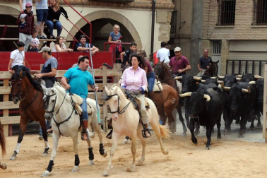Larraga celebró el pasado fin de semana una nueva edición del Día de la Vaca Brava. Con reses de la ganadería de Víctor Navas, la cita congregó un año más a vecinos y visitantes que no quisieron perderse la trashumancia de toros y vacas, un acto que estuvo acompañado por 75 caballistas venidos de pueblos de Navarra, La Rioja y Zaragoza.