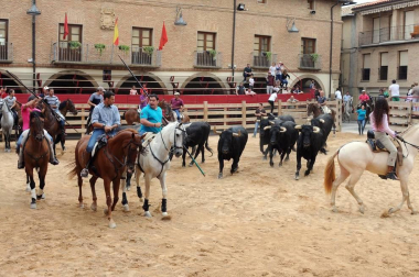 Larraga celebró el pasado fin de semana una nueva edición del Día de la Vaca Brava. Con reses de la ganadería de Víctor Navas, la cita congregó un año más a vecinos y visitantes que no quisieron perderse la trashumancia de toros y vacas, un acto que estuvo acompañado por 75 caballistas venidos de pueblos de Navarra, La Rioja y Zaragoza.