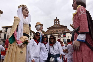 Grandes y pequeños acompañaron a las más de ochenta figuras que el pasado sábado 27 de julio llenaron las calles del centro de Tudela en la tradicional Concentración de Gigantes, que cada año organiza la Orden del Volatín. La alegría se dejó ver en las caras de los más pequeños desde el primer momento.