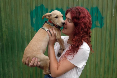 Los abandonos de perros y gatos se producen en Navarra durante todo el año, no solo en verano. Desde enero, a la Fundación Protectora de Animales de Pamplona han llegado 45 perros y 35 gatos. Estos son algunos de sus protagonistas.