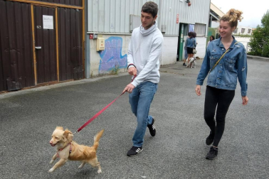 Los abandonos de perros y gatos se producen en Navarra durante todo el año, no solo en verano. Desde enero, a la Fundación Protectora de Animales de Pamplona han llegado 45 perros y 35 gatos. Estos son algunos de sus protagonistas.