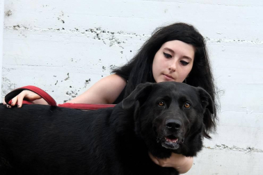 Los abandonos de perros y gatos se producen en Navarra durante todo el año, no solo en verano. Desde enero, a la Fundación Protectora de Animales de Pamplona han llegado 45 perros y 35 gatos. Estos son algunos de sus protagonistas.