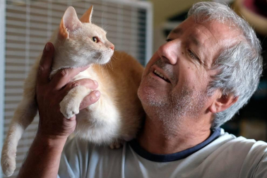 Fotos de algunos de los gatos que actualmente se encuentran en la Fundación Protectora de Animales de Pamplona, principales víctimas de la realidad del abandono y del maltrato, que generalmente se agudiza durante el mes de julio.