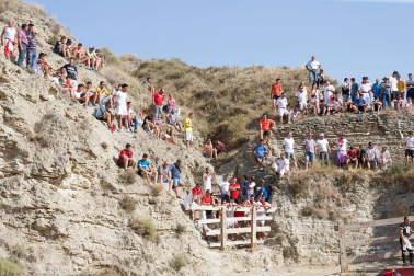 Todas las fotos del encierro del Estrecho de Arguedas 2019 en Diario de Navarra