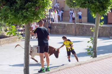 Todas las fotos del encierro del Estrecho de Arguedas 2019 en Diario de Navarra