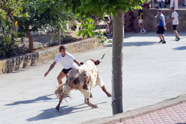 Todas las fotos del encierro del Estrecho de Arguedas 2019 en Diario de Navarra