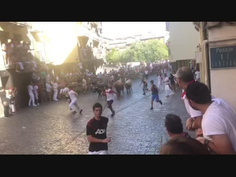 Encierro de fiestas de Estella, tarde del 8 de agosto de 2019