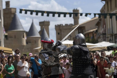 Todas las fotos del inicio de las fiestas medievales de Olite